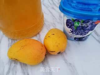 Honey Mango Yogurt Recipe - Simple Chinese Food