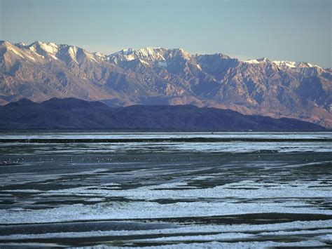 Owens Lake Bird Festival Showcases Environmental Restoration