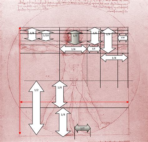 1: Vitruvian Man with proportions suggested by by Leonardo da Vinci. | Download Scientific Diagram