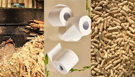 Sugarcane Bagsees: A Perfect Fiber Material For Paper And Pulp Making