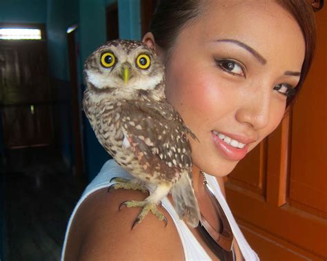 I heard you guys like owls. - WorkLAD - Banter, Funny Pics, Viral Videos | Pets, Owl, Baby owls