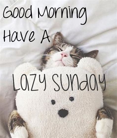 Good Morning Have A Lazy Sunday | Lazy sunday quotes, Sunday quotes ...