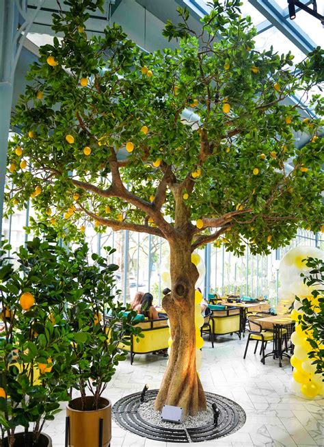 Eat Drink KL | The Lemon Tree, Tropicana Petaling Jaya