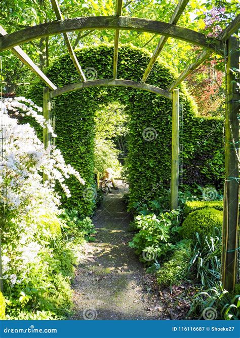 Pergola with Climbing Roses in Springtime Stock Image - Image of peaceful, green: 116116687