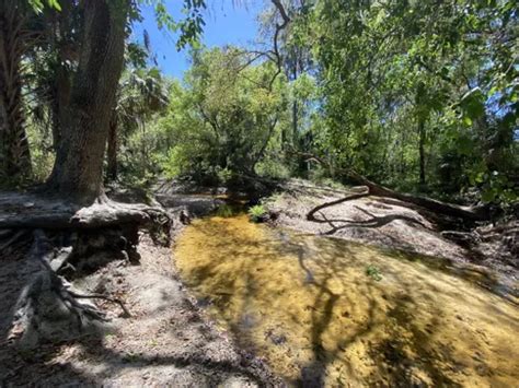 Best Hikes and Trails in Boyette Springs Park | AllTrails