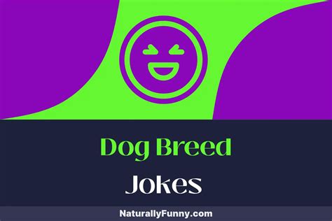 526 Dog Breed Jokes to Tickle Your Funny Bone - Naturally Funny