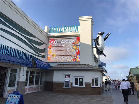 Jenkinson’s Aquarium - 194 Photos & 69 Reviews - Aquariums - 300 Ocean Ave, Point Pleasant Beach ...