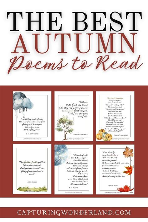 The Best Autumn Poems to Read | Autumn poems, Poems, Autumn poetry