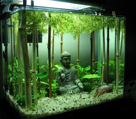 The World’s Top 10 Best Themed Fish Tanks - Paperblog | Маленькие ...