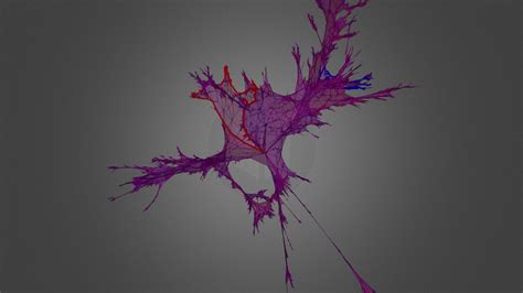 Torus with 2 holes 10k_60_80 - 3D model by Jérémie Bettinelli ...