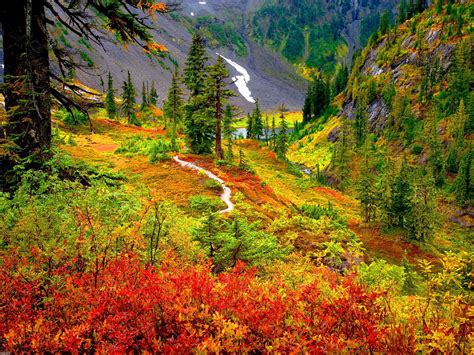 Stunning Fall Landscape: HD Wallpaper of Nature's Vibrant Colors