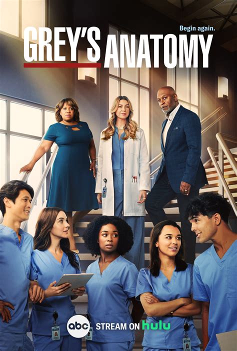 Grey's Anatomy - Where to Watch and Stream - TV Guide