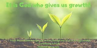 gomakedisciples: I planted, Apollos watered, but God gave the growth!