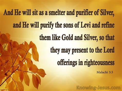 82 Bible verses about Silver