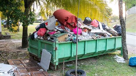 A complete guide on Dumpster Diving Tips that you never knew before - Eco Friendly Fact