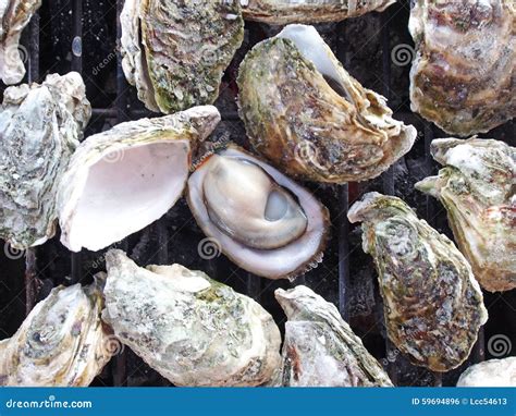 Grilled oysters stock photo. Image of gourmet, picnic - 59694896