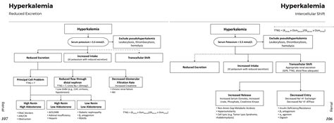 Hyperkalemia Diagnosis Algorithm