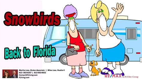 Are Snowbirds flying back to Florida - YouTube