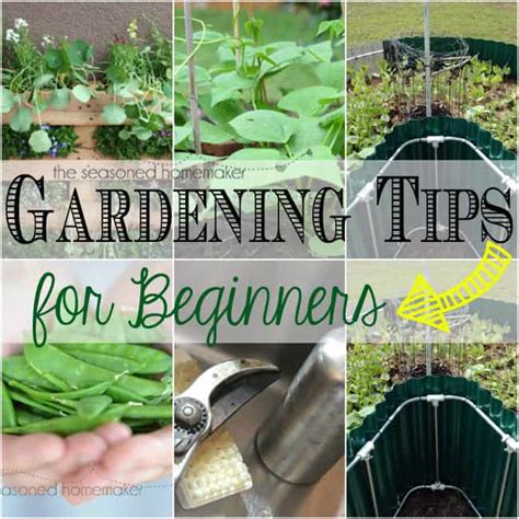 Gardening Tips - The Seasoned Homemaker