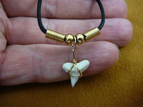 5/8 inch Hammerhead shark tooth teeth necklace by sharkman123