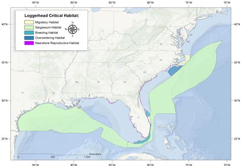 Sea Turtle Nesting Habitat Protection Map in Florida – South Walton Turtle Watch