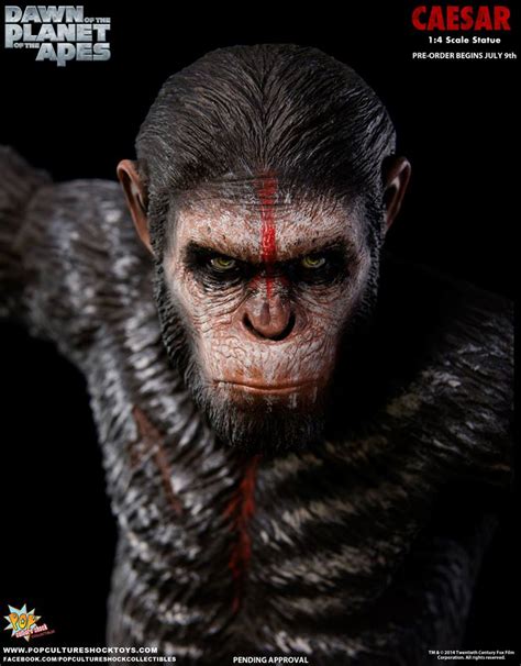 Pop Culture Shock Dawn of the Planet of the Apes Caesar Statue Preview ...