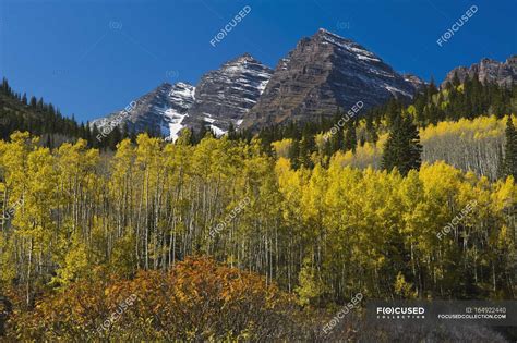 White River National Forest — United States of America, ash - Stock Photo | #164922440