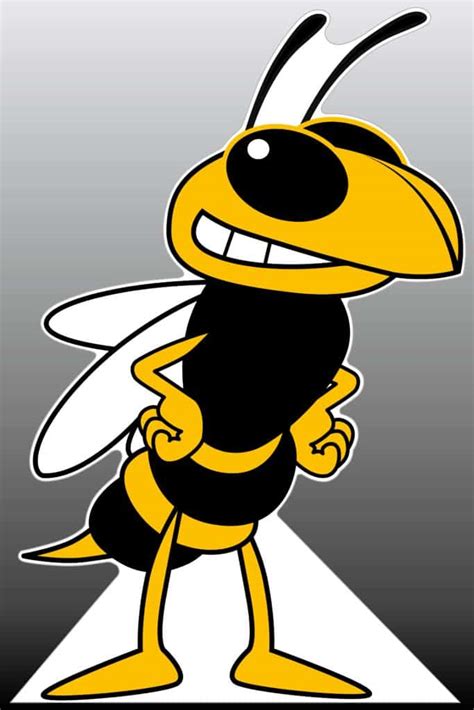 Hornet - Mascot Junction