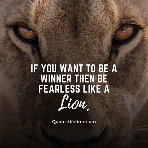 150+ Lion Quotes And Sayings With Images For Motivation