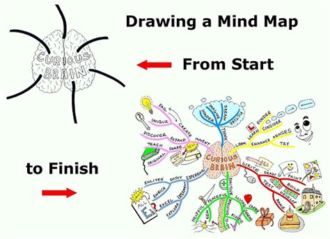 Drawing a Mind Map from Start to Finish