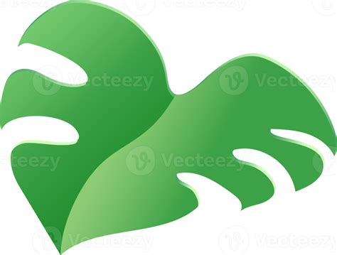 monstera leaf green color 19053800 PNG
