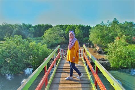 Hutan Mangrove Cantik di Jakarta dan Bekasi, Lokasi Ngadem untuk Traveler Sekitaran Ibu Kota