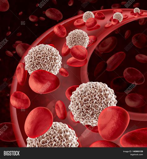 White Blood Cell Image & Photo (Free Trial) | Bigstock