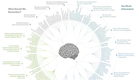 Every Single Cognitive Bias in One Infographic