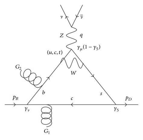 Gluon condensate contributions to Bc*→Dsν+ν- transitions. | Download ...