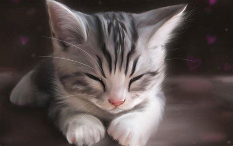 cat, Animals, Artwork, Drawing, Kittens, Sleeping Wallpapers HD / Desktop and Mobile Backgrounds