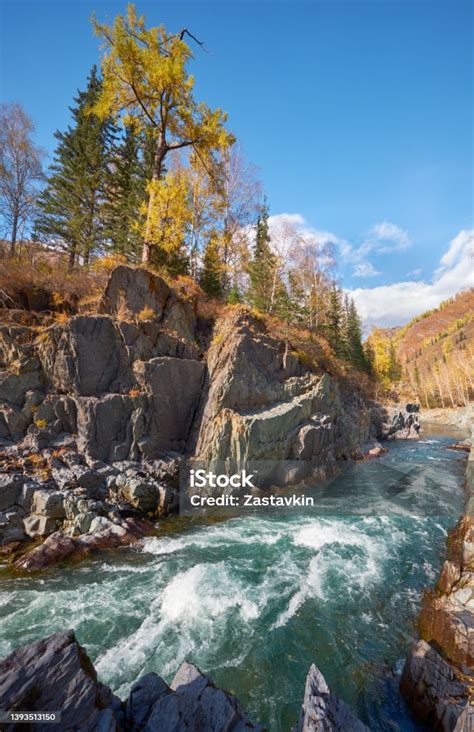 Altai River Kumir Stock Photo - Download Image Now - Altai Mountains, Autumn, Beauty - iStock