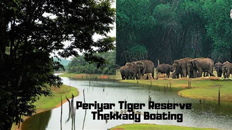 Periyar Tiger Reserve - Thekkady Boating HD - A Perfect Holiday Family destination in Kerala ...