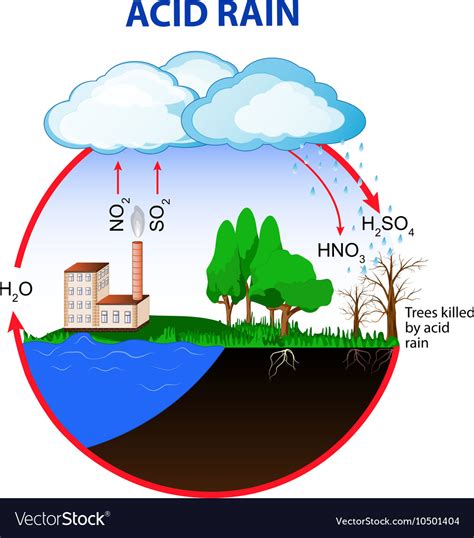 Acid rain Royalty Free Vector Image - VectorStock