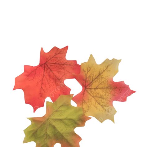 Maple Leaf Png With Ai Generated 24865666 Png - vrogue.co