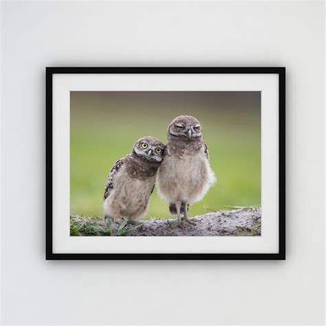 New Friends – Print Post Wall Art