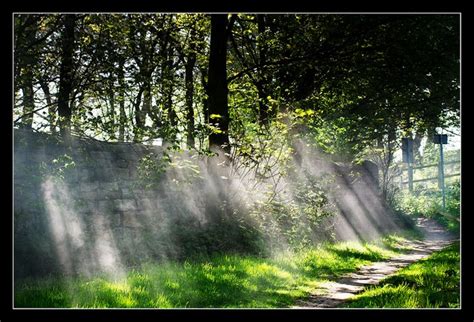 How to Photograph in Mist & Fog