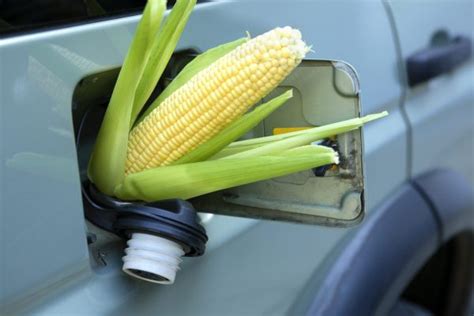 Corn-based ethanol could harm climate more than gasoline, study shows | The Organic & Non-GMO Report