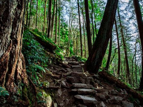 12 essential day hikes near Seattle - Curbed Seattle