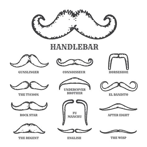 Isolated Silhouette Moustache Collection With Name of Style. Vec 258985 ...