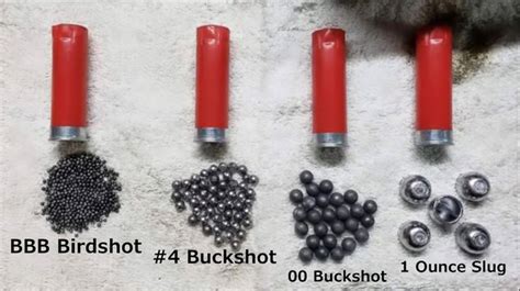 Understanding Shotgun Shells: Types, Sizes, and Applications.