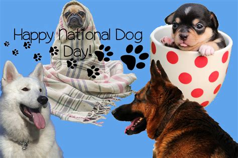 National Dog Day