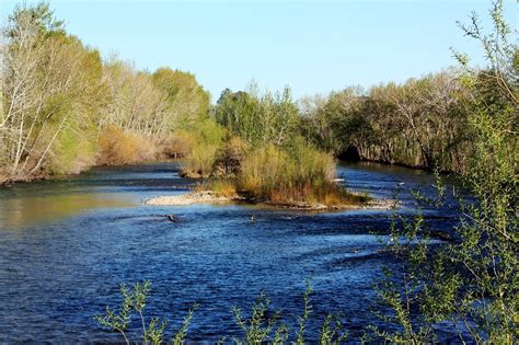 Boise Daily Photo: Signs of Spring on the Boise River