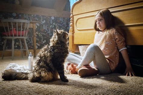 Stephen King's Pet Sematary Book Ending and Spoilers | POPSUGAR ...