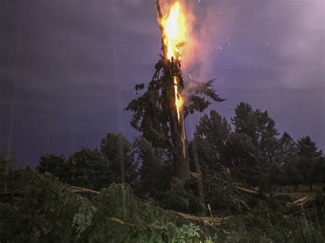 VIDEO: Lightning bolt destroys tree near La Center - ClarkCountyToday.com